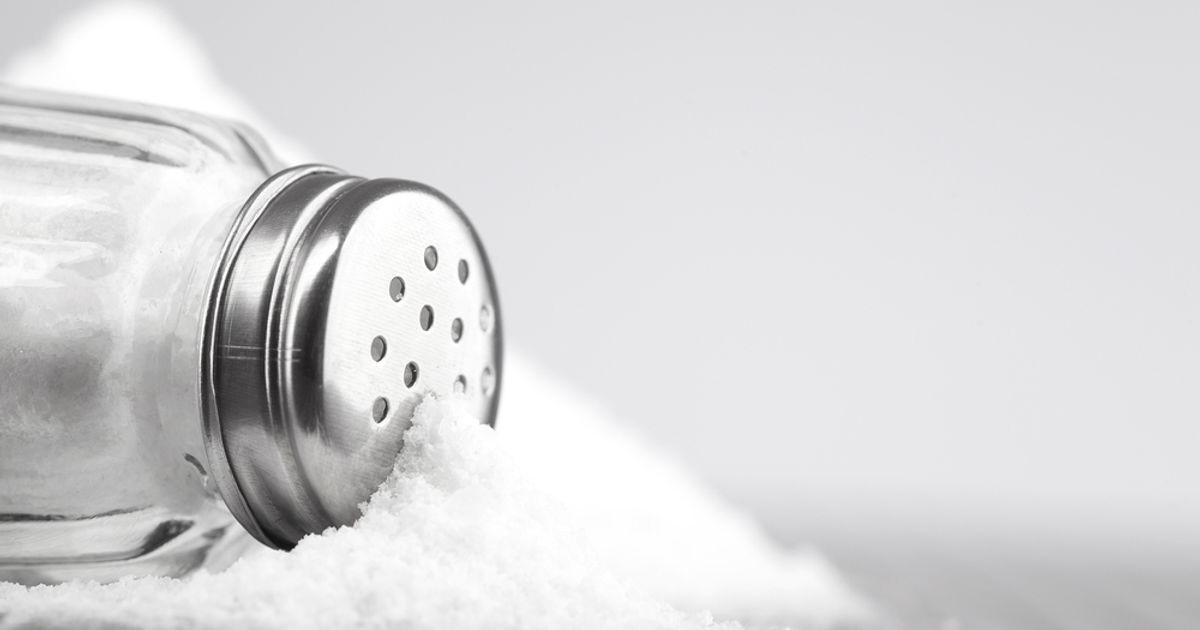 TEKCAPITAL SHARES RISE AS MICROSALT INKS US DISTRIBUTION DEAL